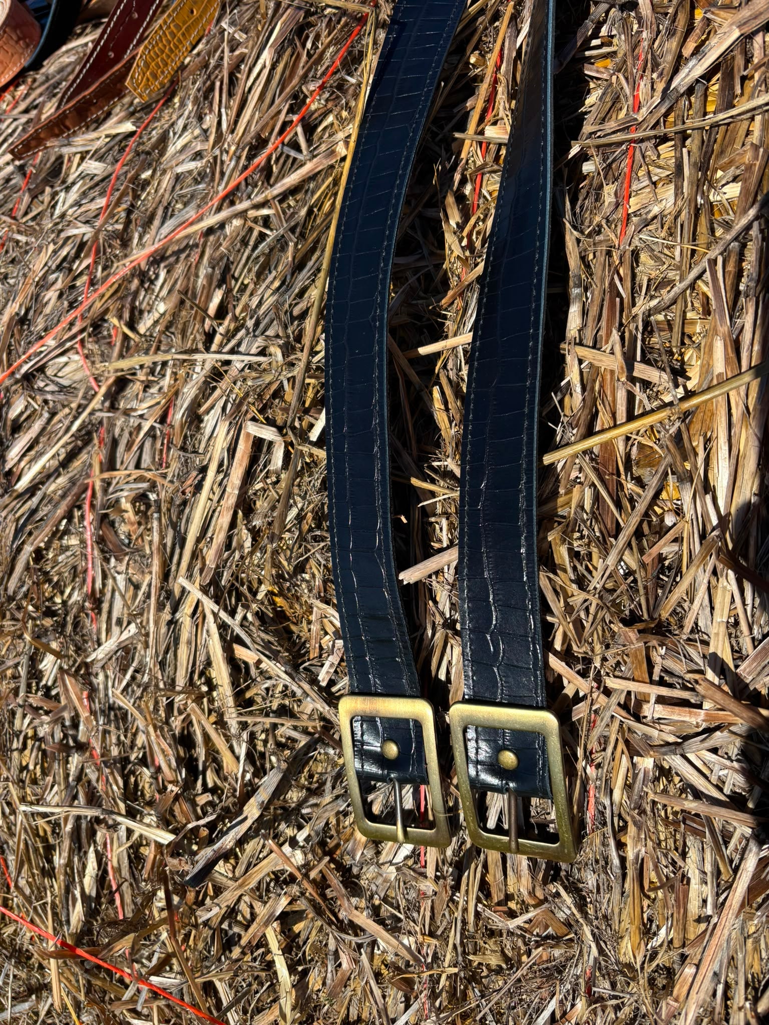 Cinto de Cuero Croco - Hebilla Rectangular